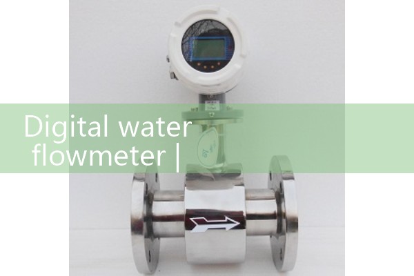 Digital water flow meter